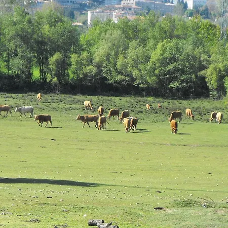 Casa De Fujacos فالينسا