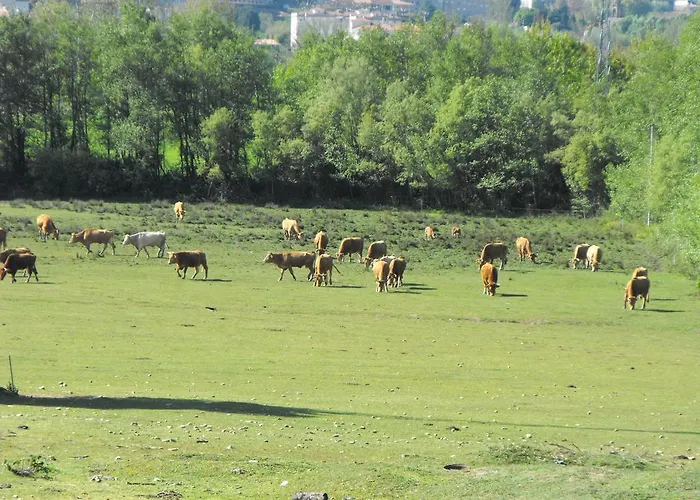 Casa De Fujacos 발렌사